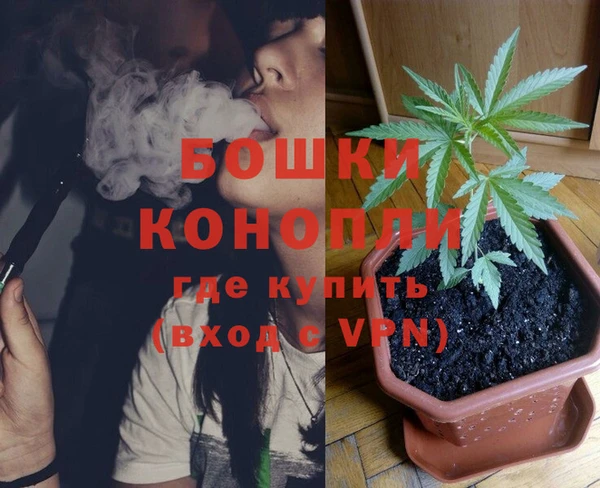 СК Белокуриха