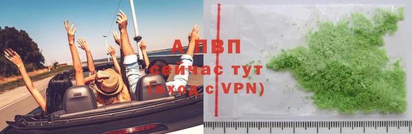 СК Белокуриха