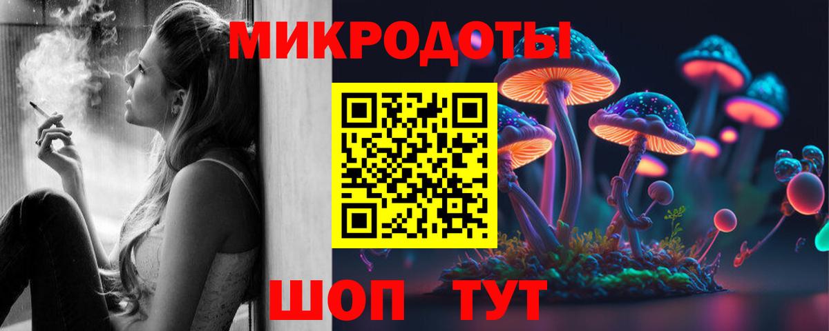 Малоярославец  Галлюциногенные грибы Psilocybe  Вход с VPN 