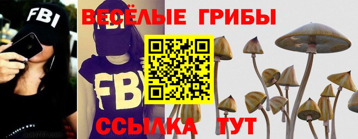 Кокаин  Вход с VPN  Купить наркотик  Малоярославец  Гашиш  Канабис  Амфетамин   Меф МЯУ МЯУ кристаллы  Alpha-PVP СК кристаллы 