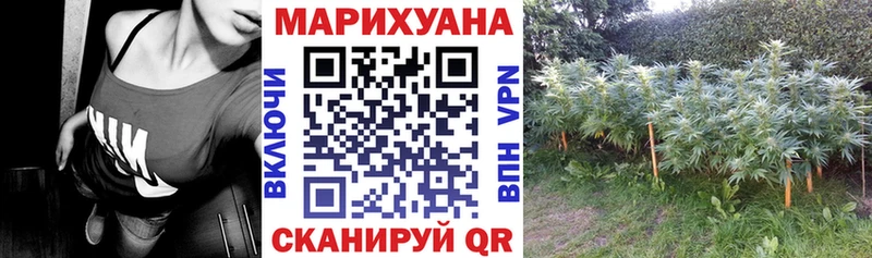 OMG как зайти  цена наркотик  Малоярославец  МАРИХУАНА конопля 